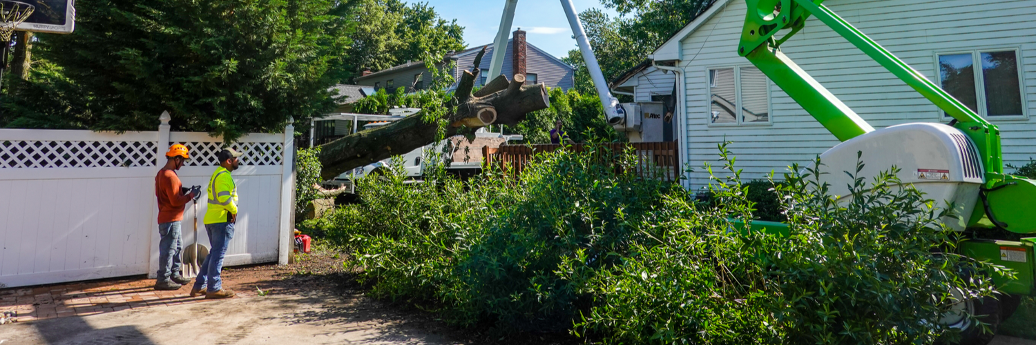 Tree Service Insurance Massachusetts